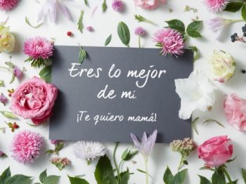 10 Bellas y Sublimes frases de Feliz Día de las Madres | Portal De Feliz  Cumpleaños