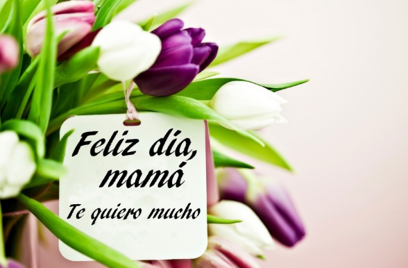 10 Bellas Y Sublimes Frases De Feliz Dia De Las Madres Portal De Feliz Cumpleanos