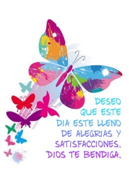 Imágenes divertidas de feliz miércoles