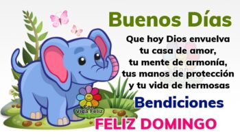 Descargar imágenes de feliz domingo